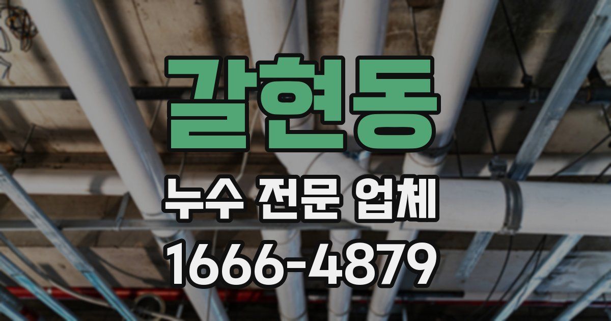 갈현동 누수 전문 업체