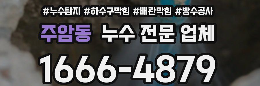 주암동 누수 전문 업체