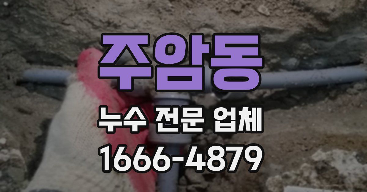주암동 누수 전문 업체