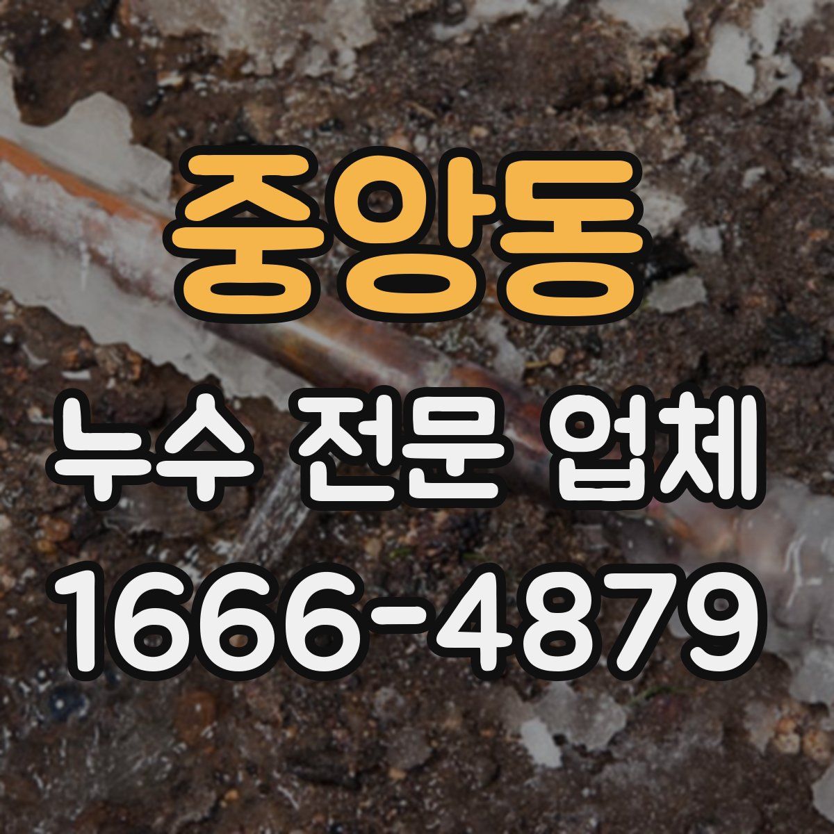 중앙동 누수 전문 업체