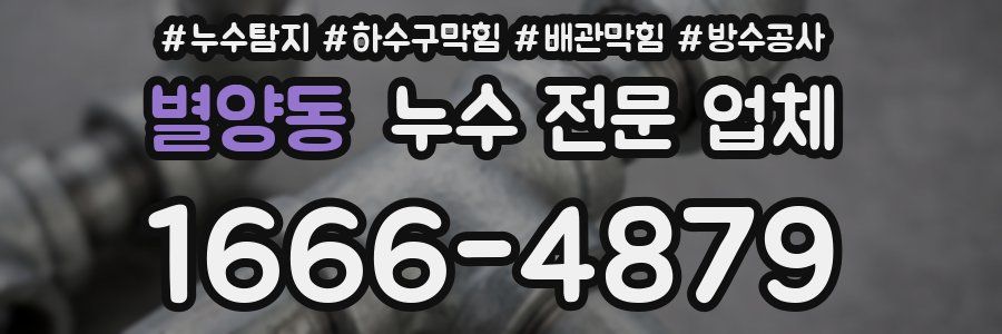 별양동 누수 전문 업체