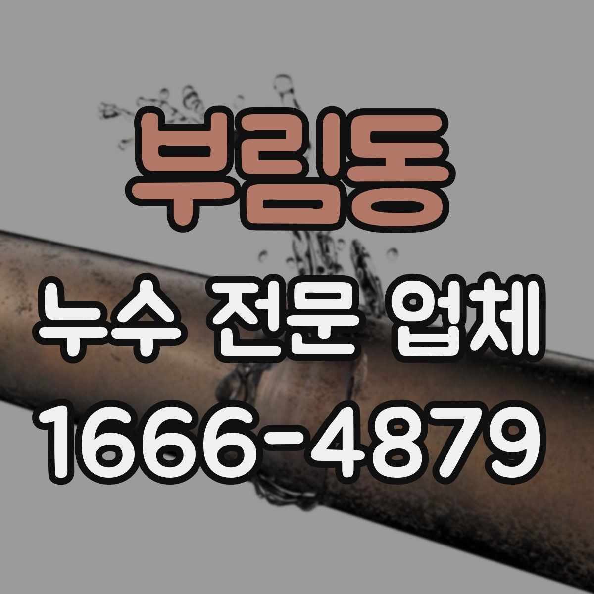 부림동 누수 전문 업체