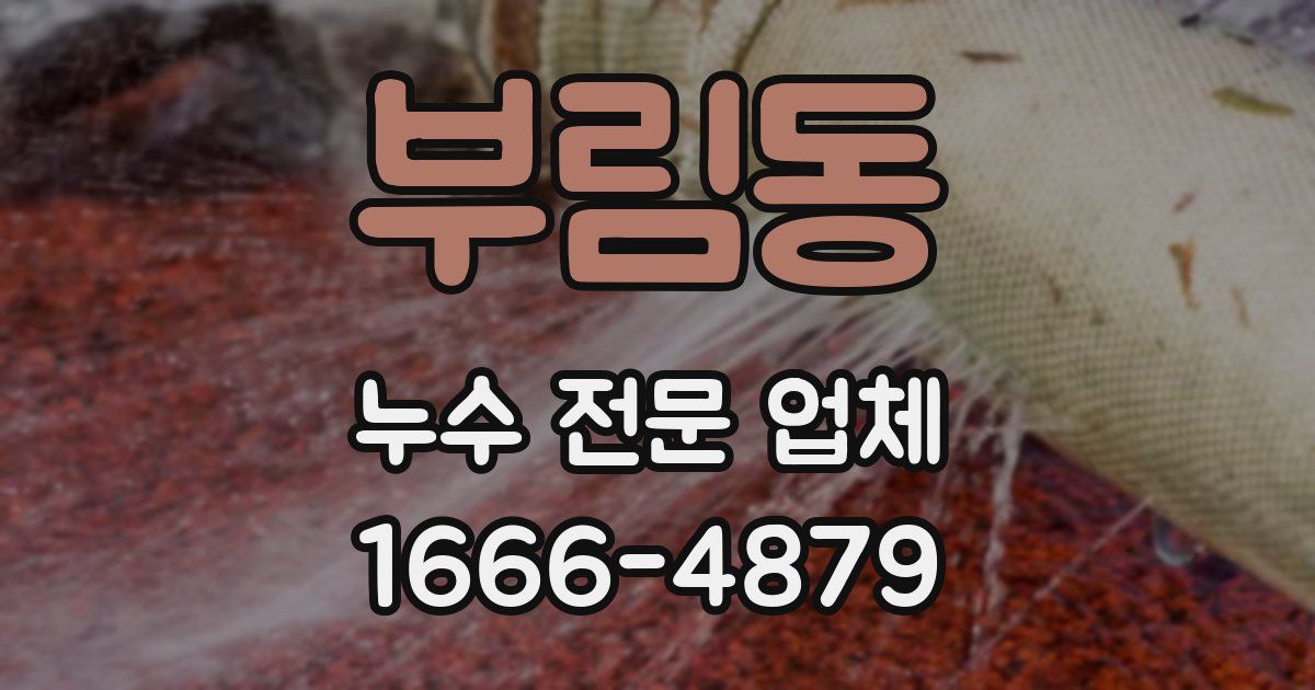 부림동 누수 전문 업체