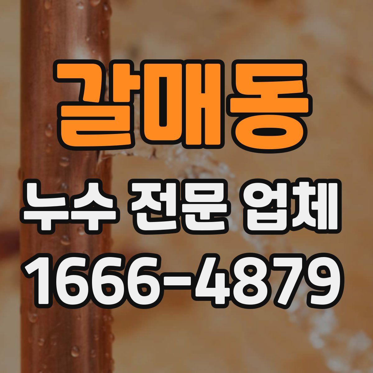 갈매동 누수 전문 업체