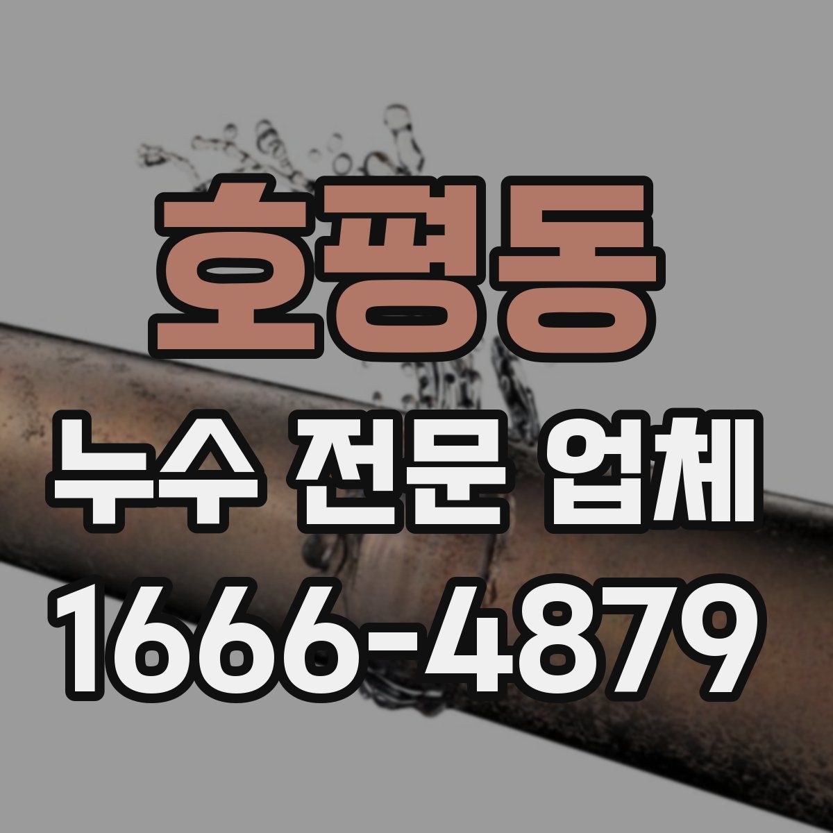 호평동 누수 전문 업체