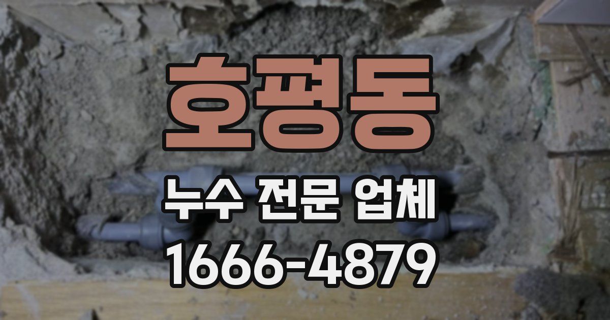 호평동 누수 전문 업체