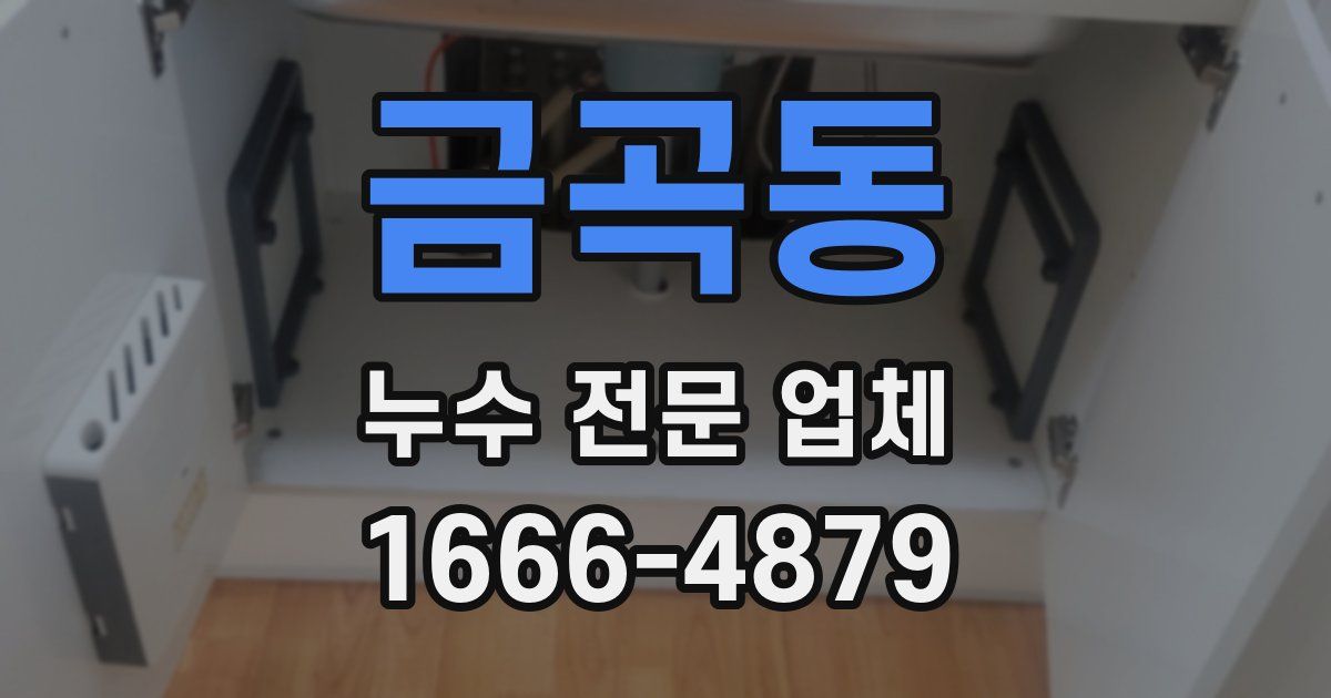금곡동 누수 전문 업체