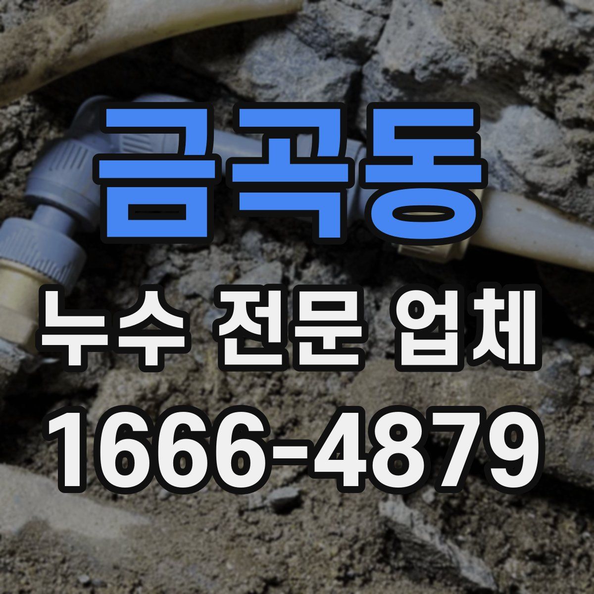 금곡동 누수 전문 업체