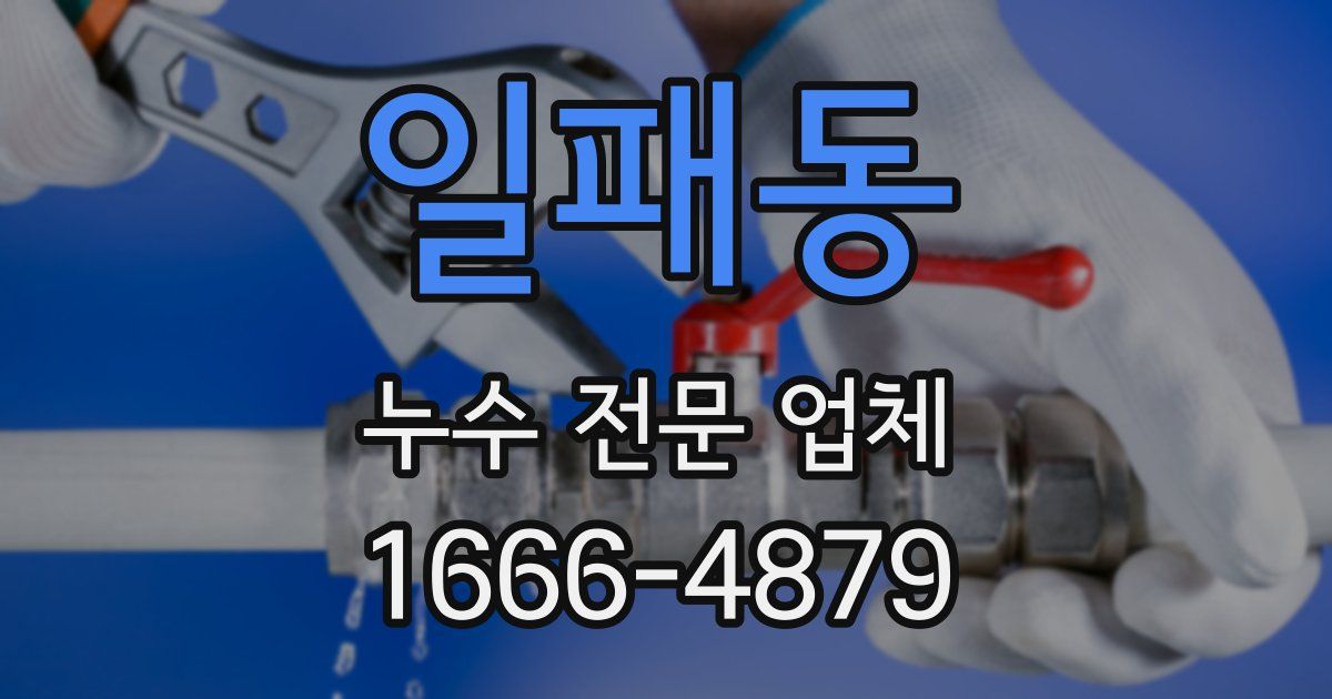일패동 누수 전문 업체