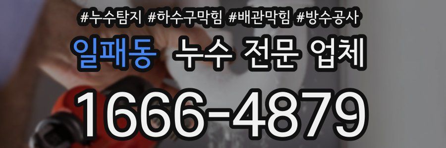 일패동 누수 전문 업체