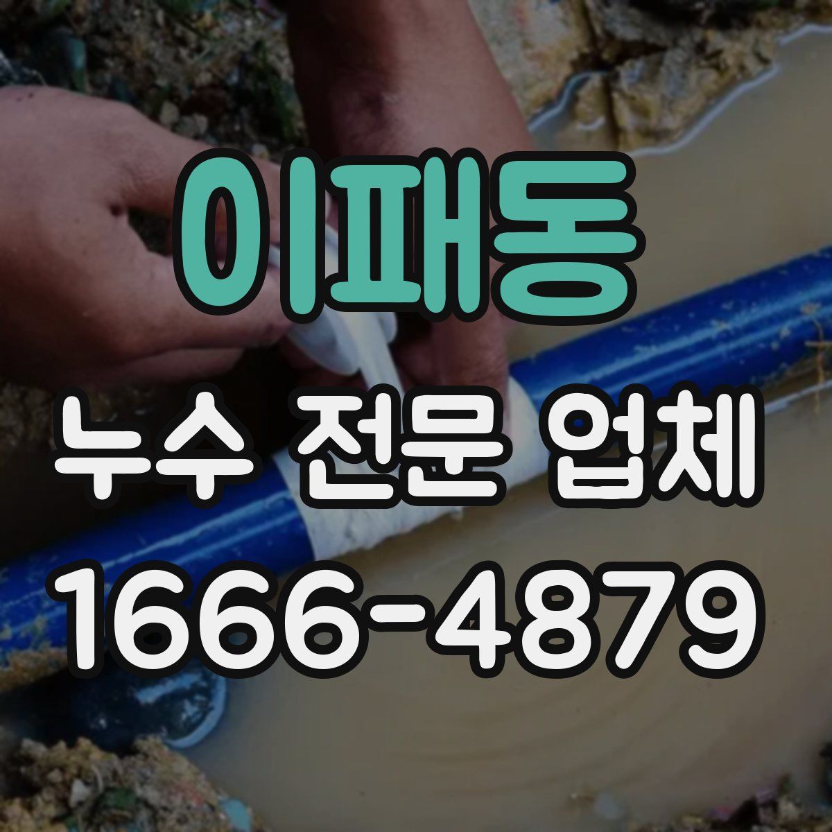 이패동 누수 전문 업체