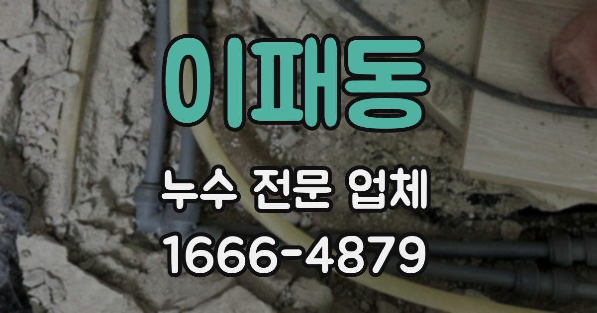 이패동 누수 전문 업체