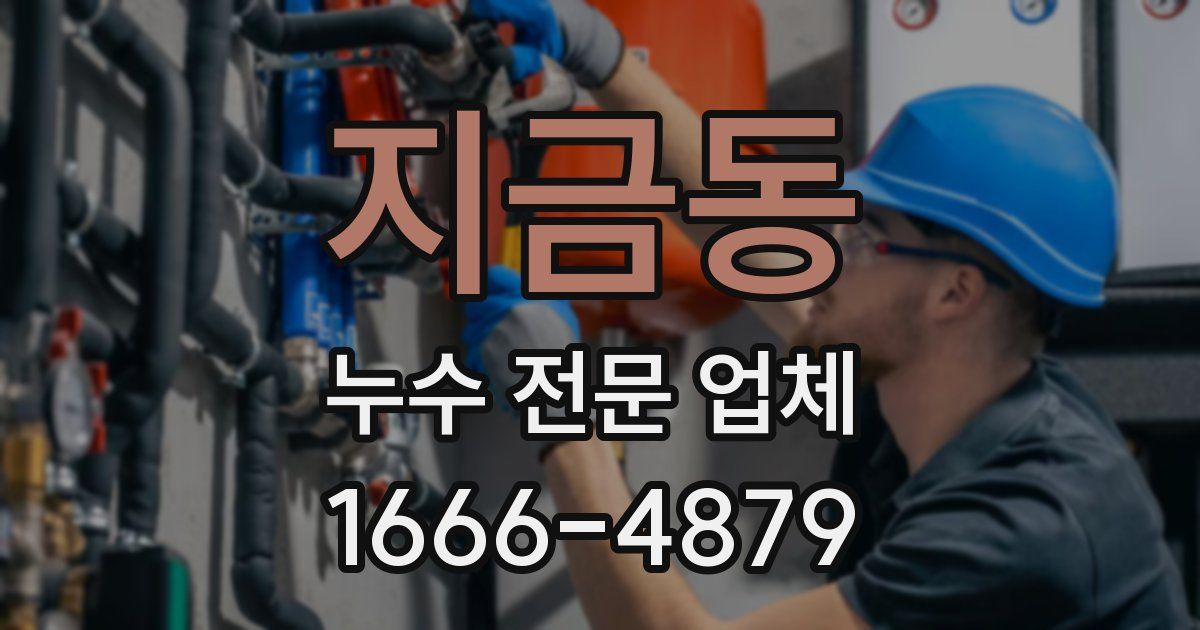 지금동 누수 전문 업체