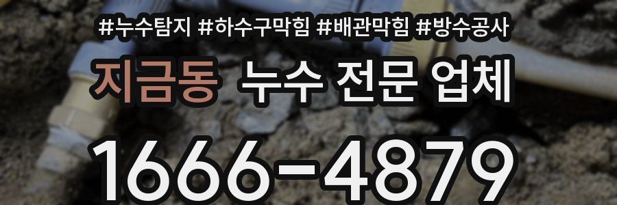 지금동 누수 전문 업체