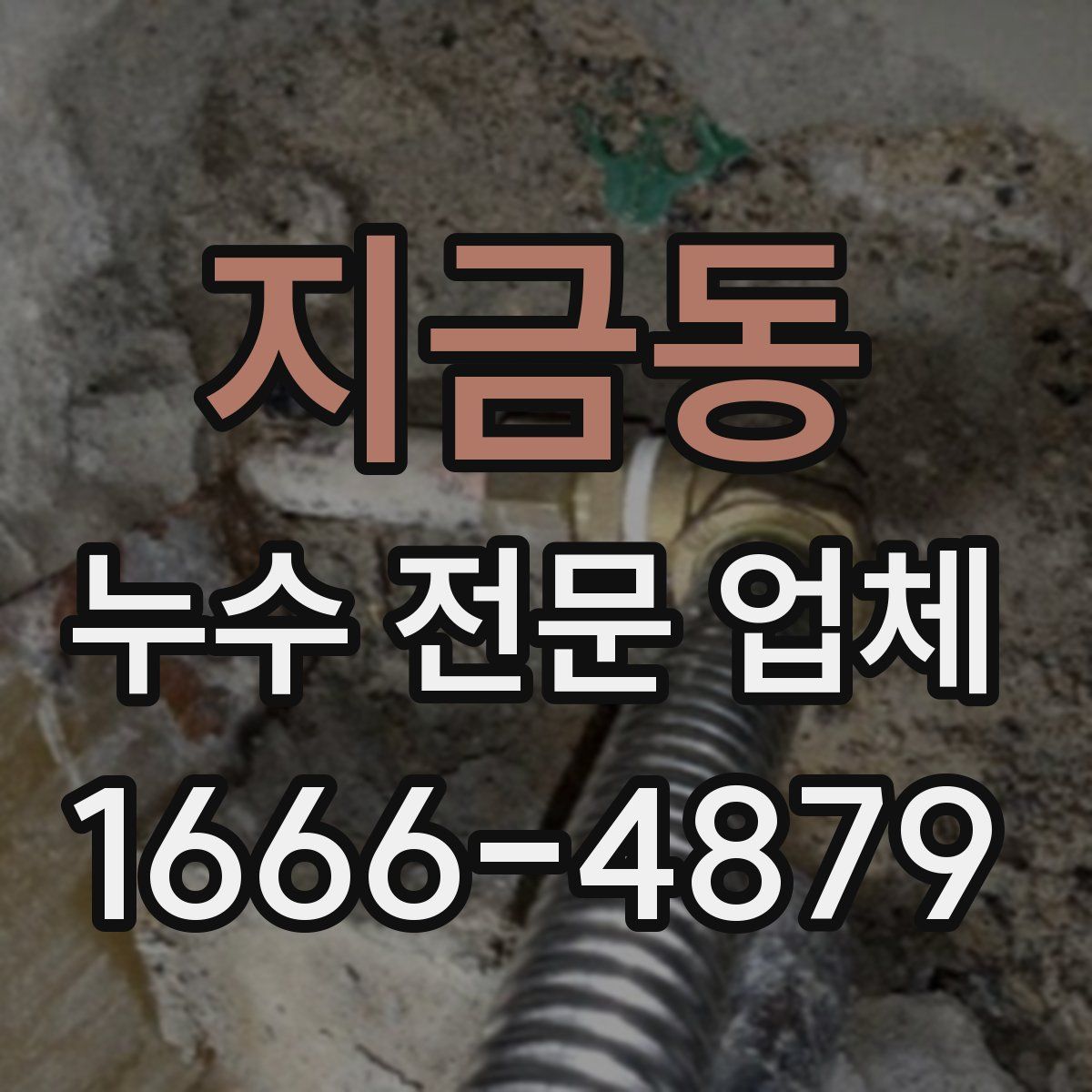 지금동 누수 전문 업체