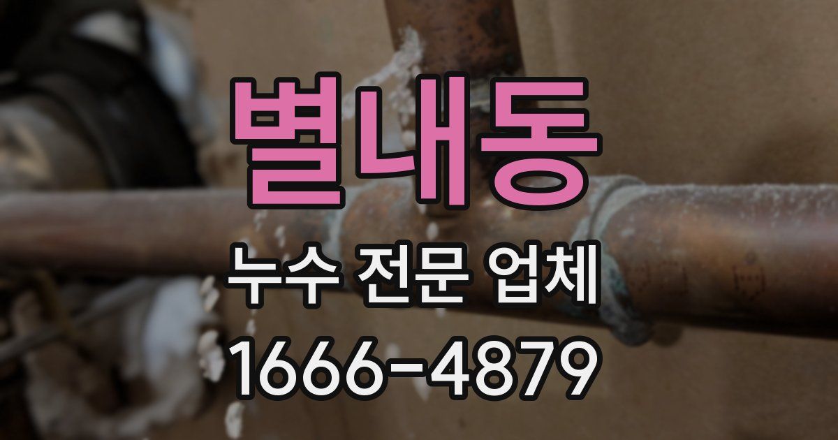 별내동 누수 전문 업체