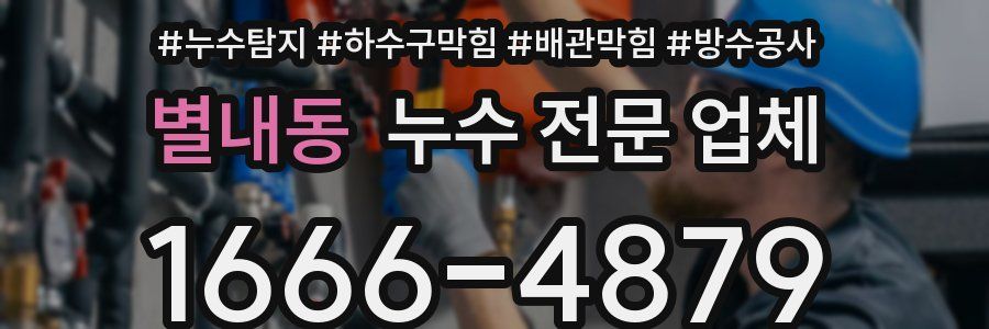 별내동 누수 전문 업체