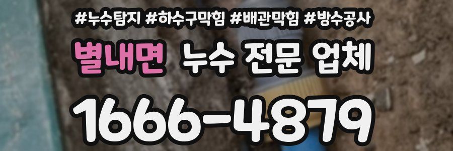 별내면 누수 전문 업체