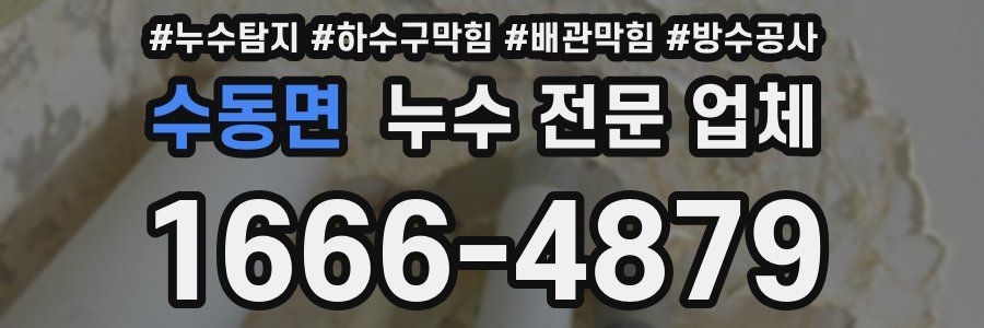 수동면 누수 전문 업체