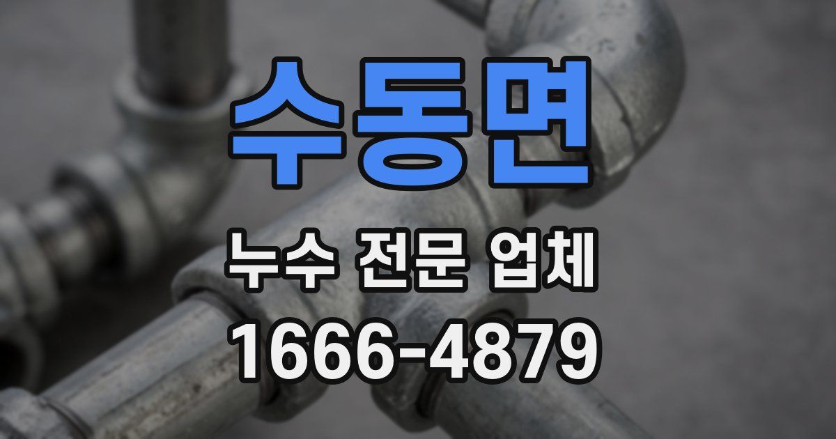 수동면 누수 전문 업체