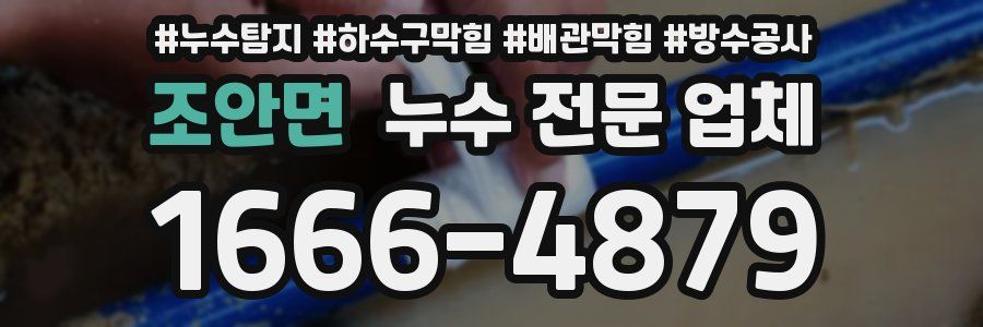 조안면 누수 전문 업체