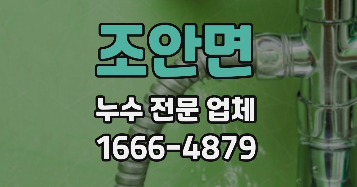 조안면 누수 전문 업체