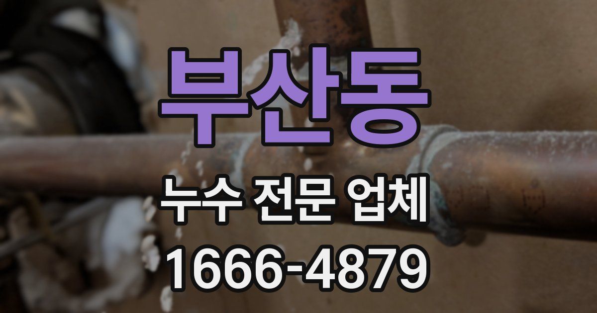 부산동 누수 전문 업체