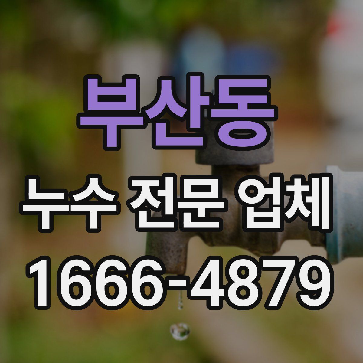 부산동 누수 전문 업체