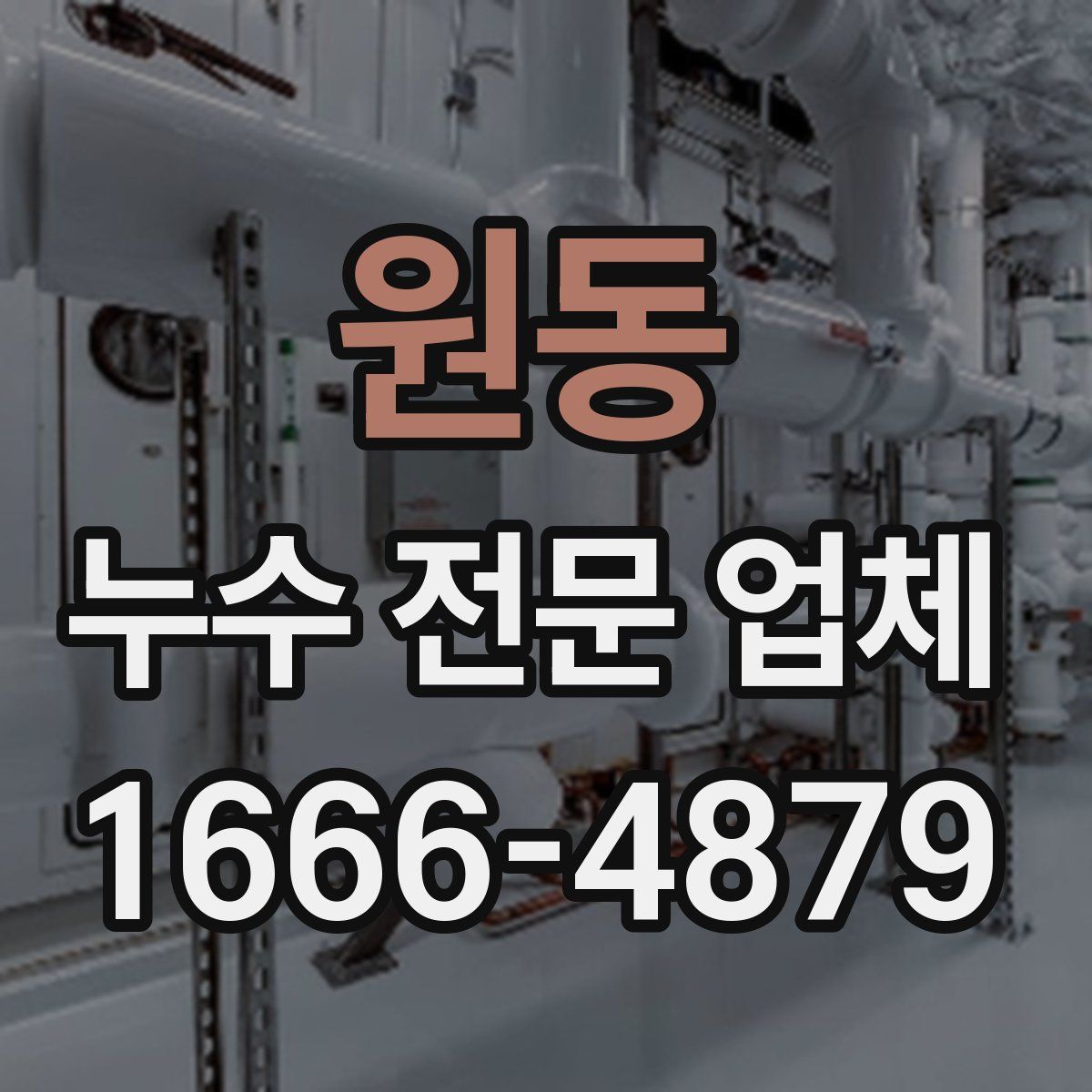 원동 누수 전문 업체