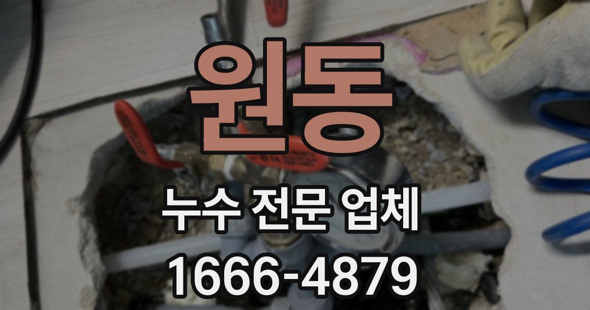 원동 누수 전문 업체