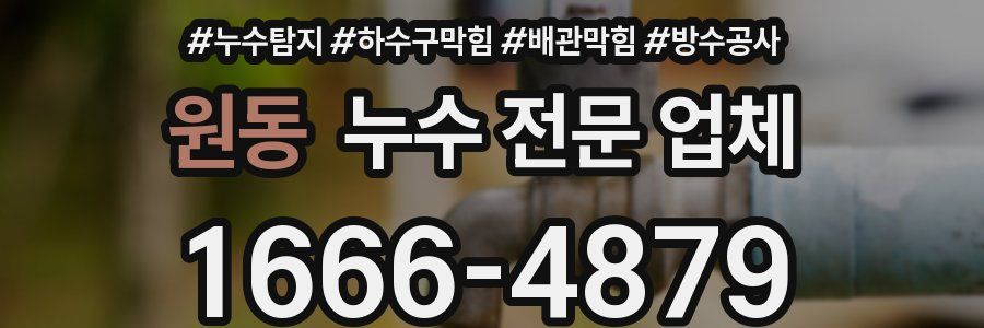 원동 누수 전문 업체