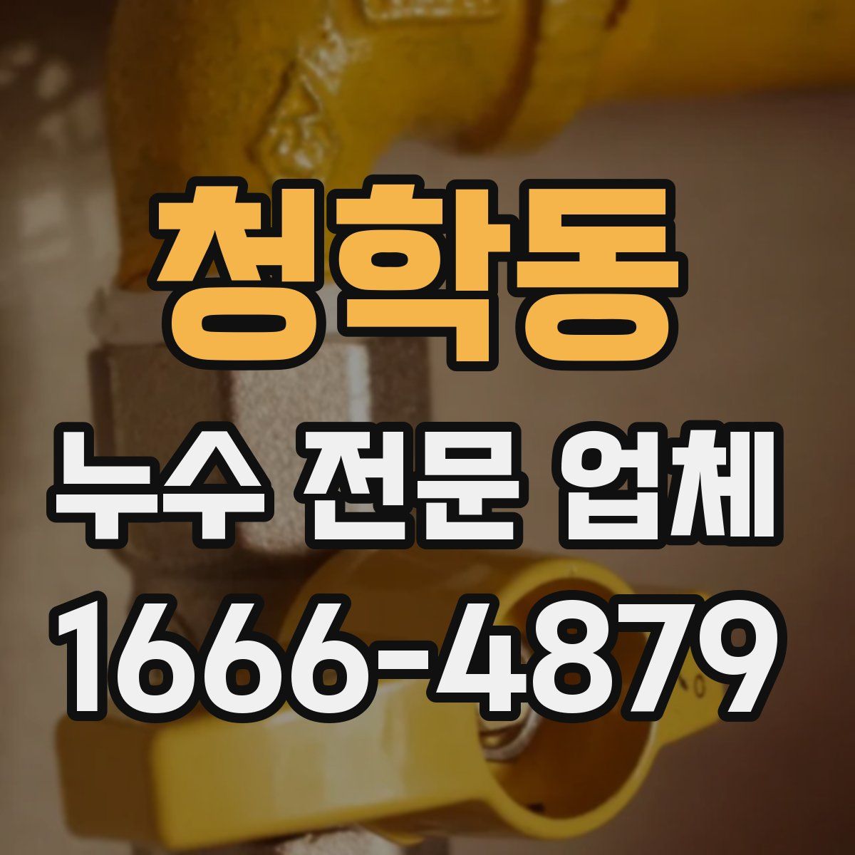 청학동 누수 전문 업체
