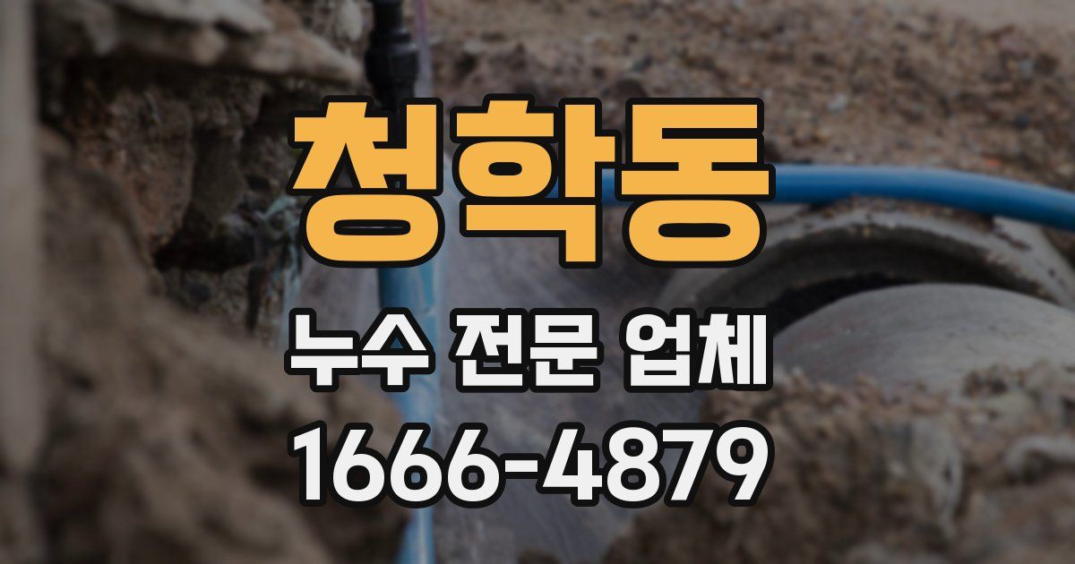 청학동 누수 전문 업체