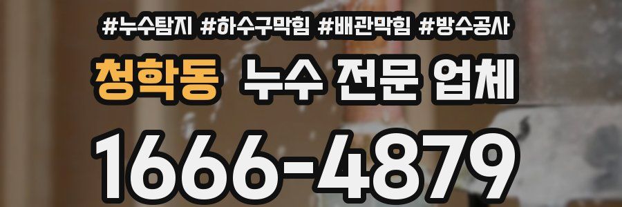 청학동 누수 전문 업체