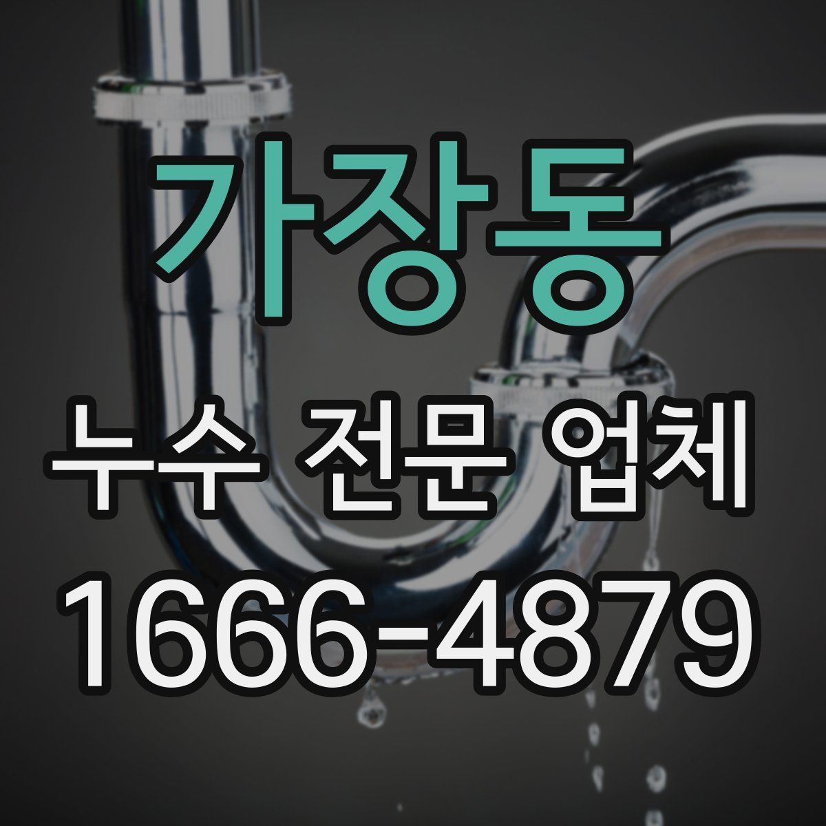 가장동 누수 전문 업체