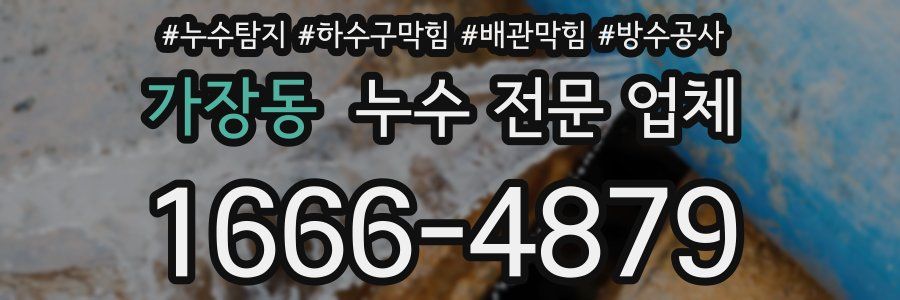 가장동 누수 전문 업체
