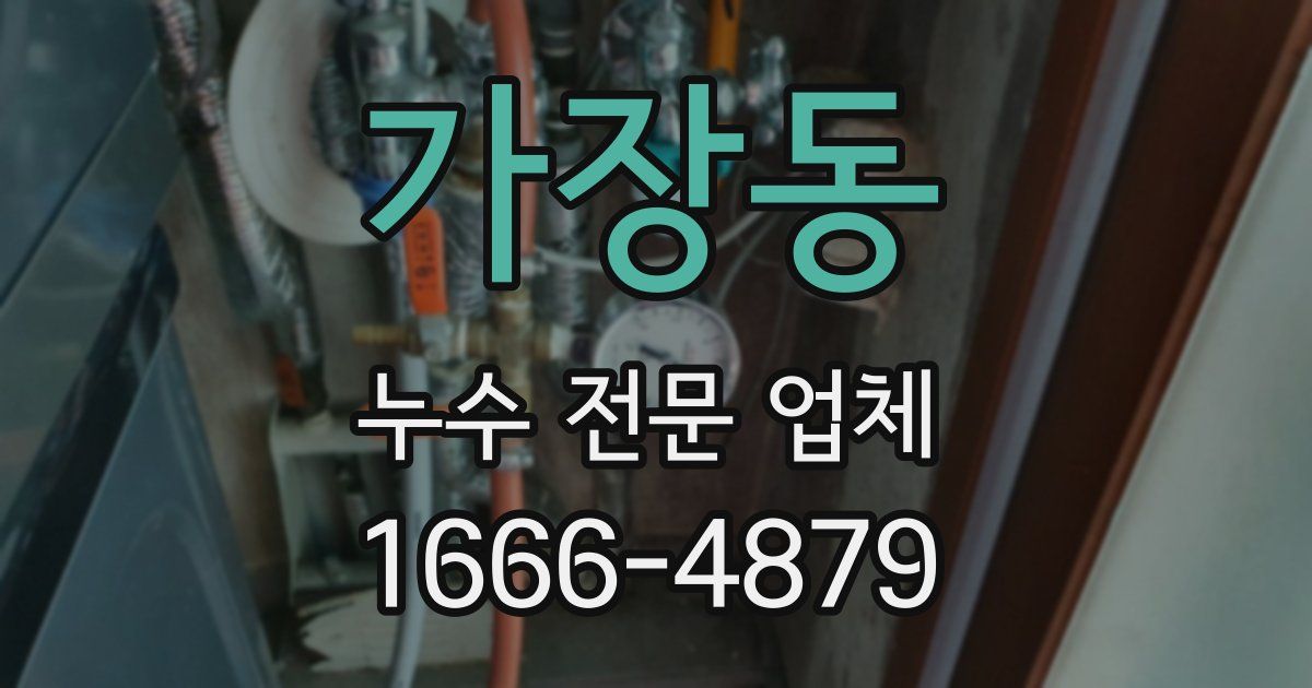 가장동 누수 전문 업체