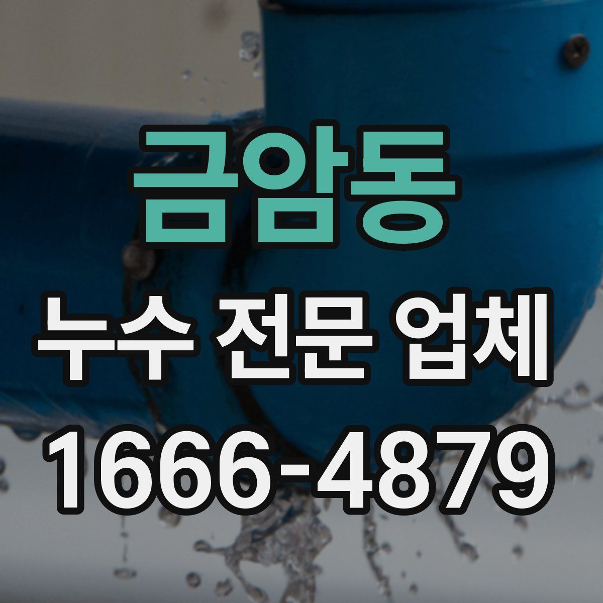 금암동 누수 전문 업체