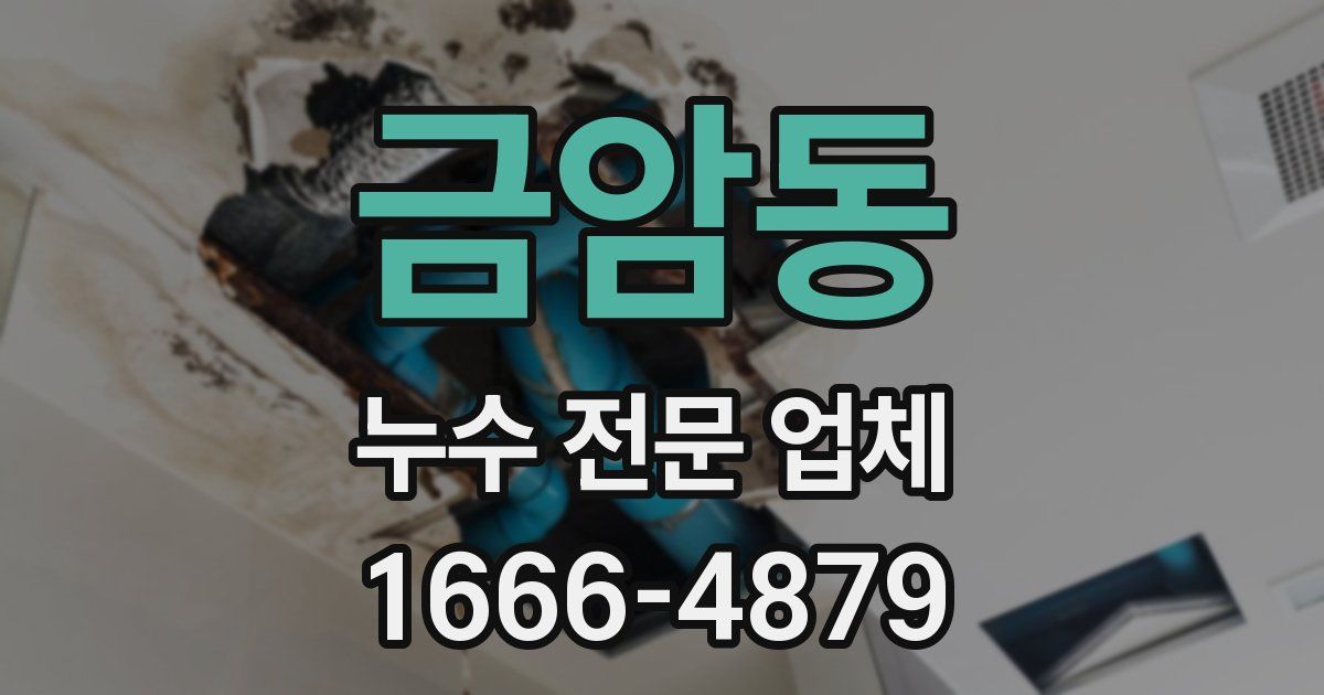 금암동 누수 전문 업체