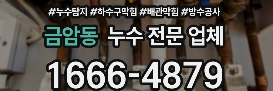 금암동 누수 전문 업체