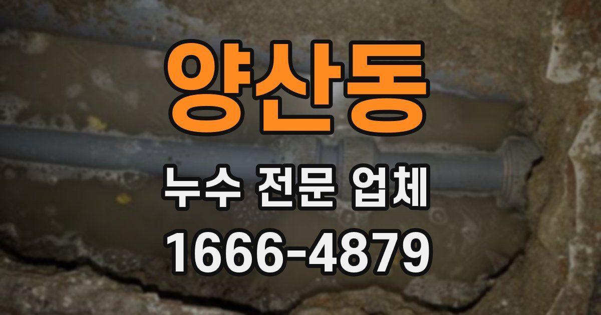 양산동 누수 전문 업체