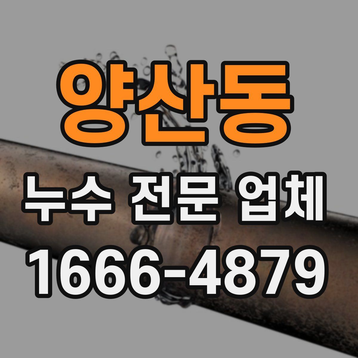 양산동 누수 전문 업체