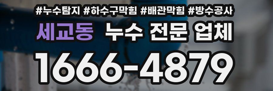 세교동 누수 전문 업체