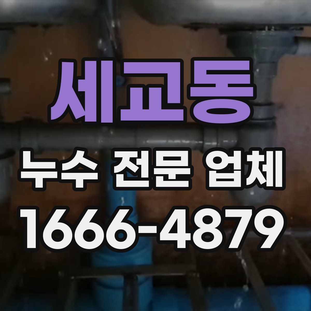 세교동 누수 전문 업체