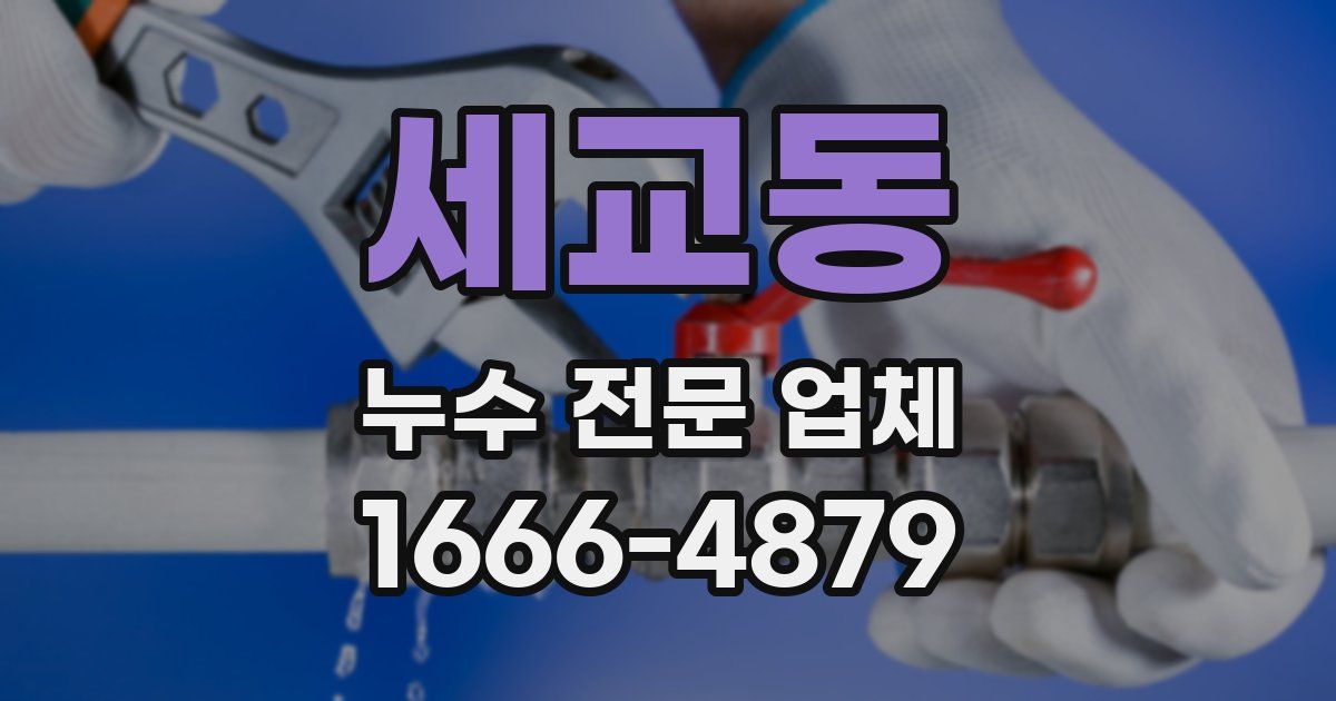 세교동 누수 전문 업체