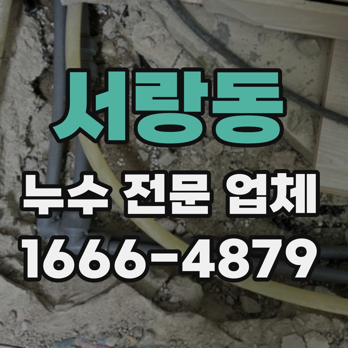 서랑동 누수 전문 업체