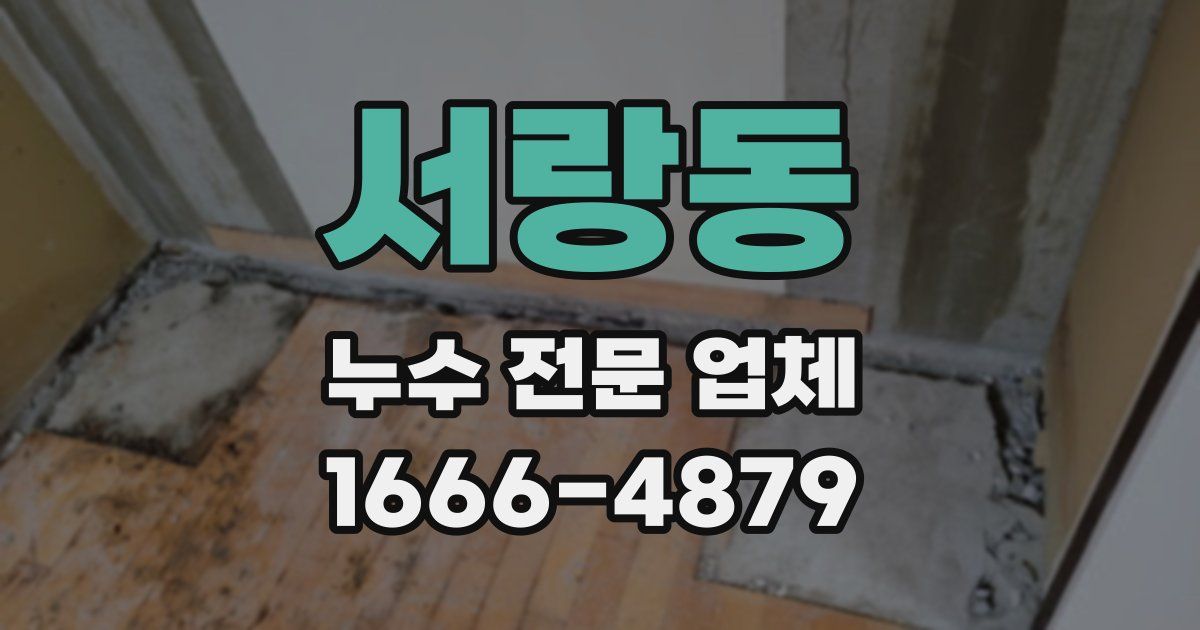 서랑동 누수 전문 업체