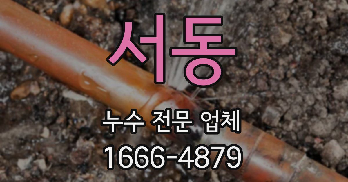 서동 누수 전문 업체