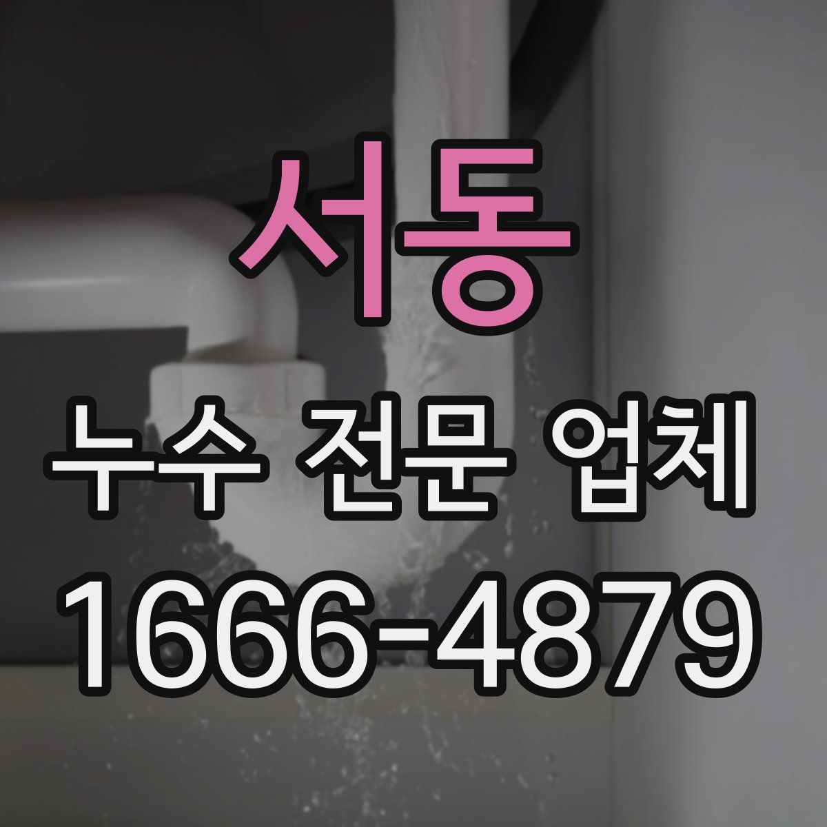 서동 누수 전문 업체
