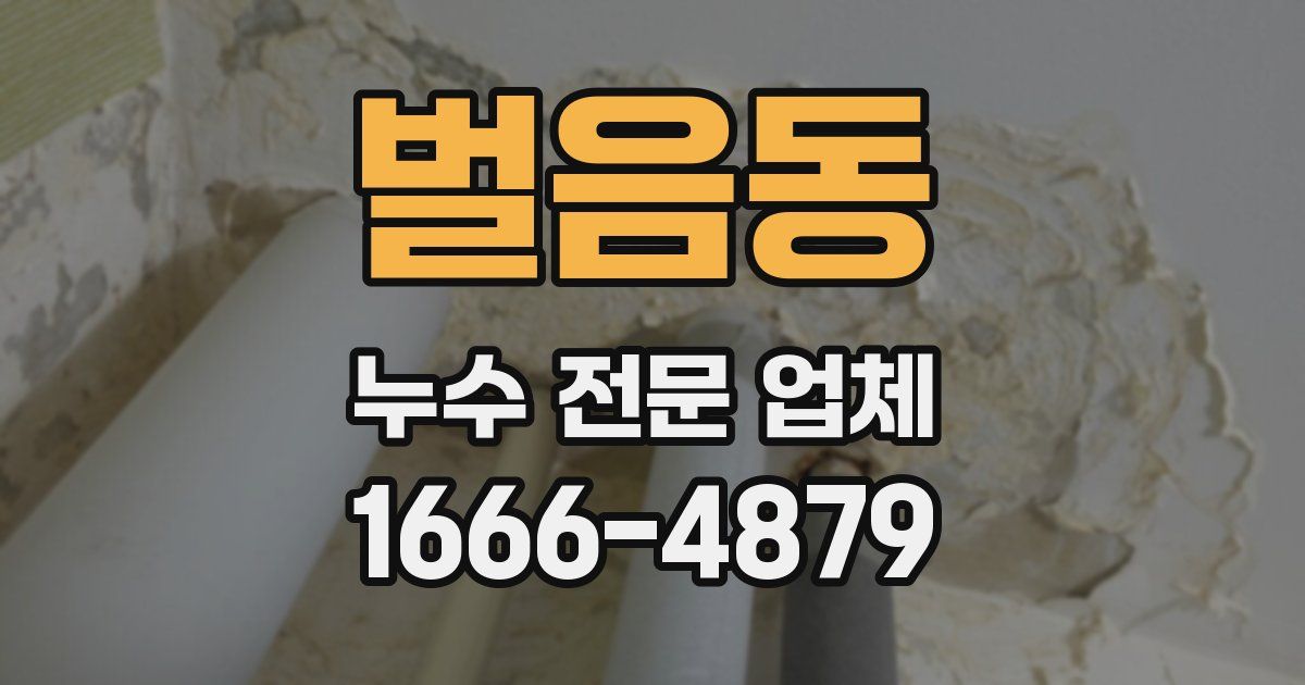 벌음동 누수 전문 업체